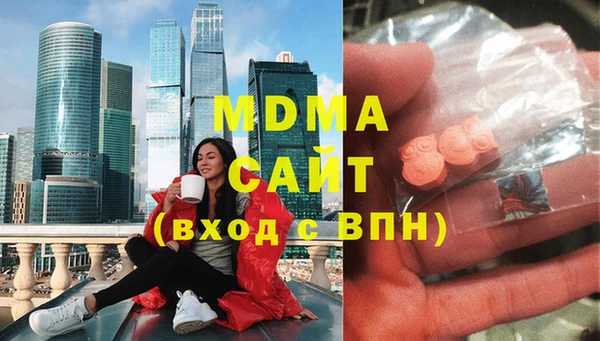 молекула духа Бородино
