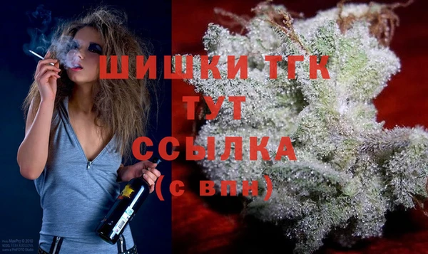 эйфоретик Верея