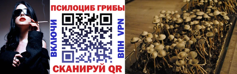 купить   Южноуральск  blacksprut ссылки  Псилоцибиновые грибы мицелий 